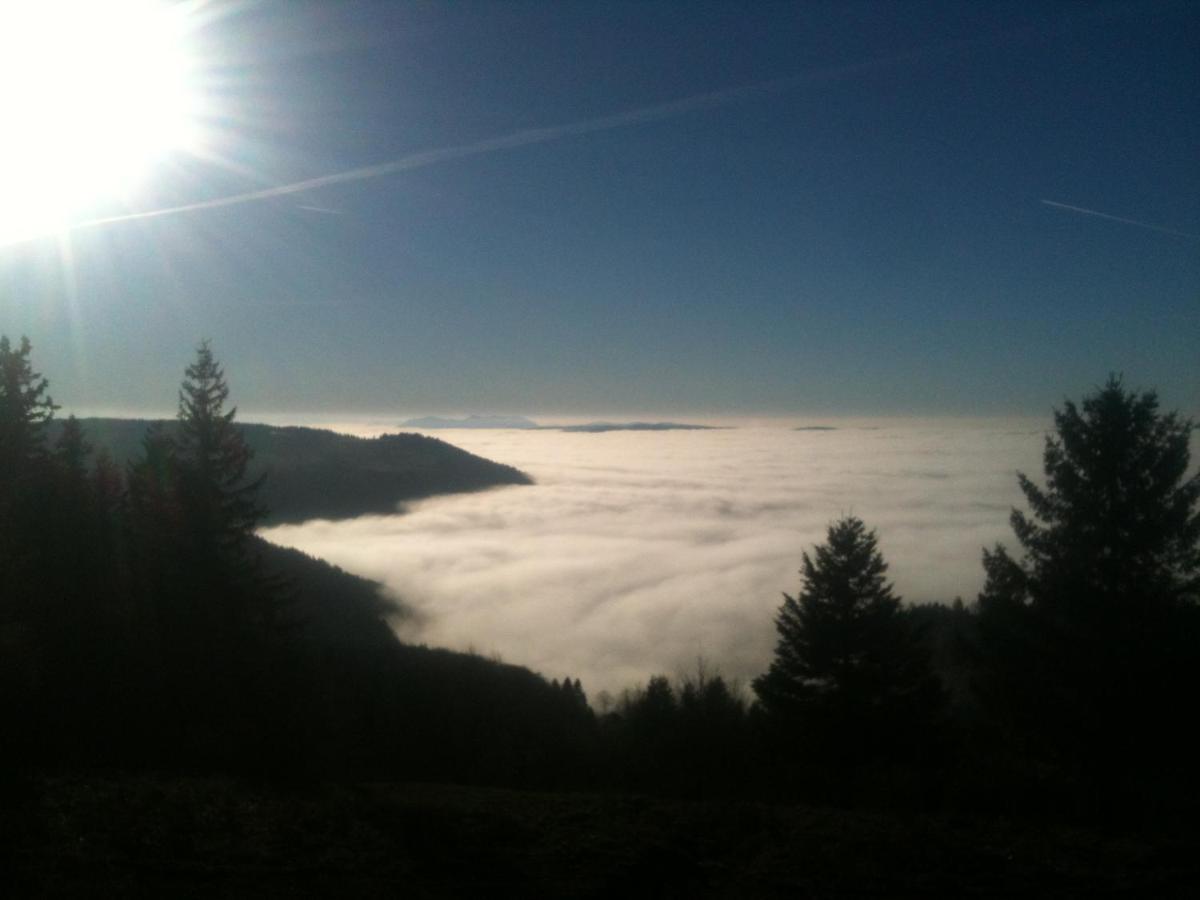 Les Gites De La Serva - Champ Du Feu - Montagnes- Vosges Belmont  Zewnętrze zdjęcie