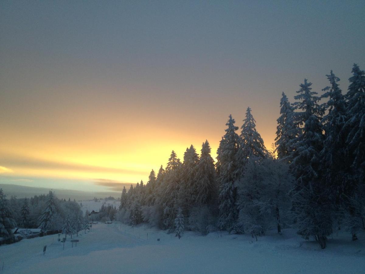 Les Gites De La Serva - Champ Du Feu - Montagnes- Vosges Belmont  Zewnętrze zdjęcie