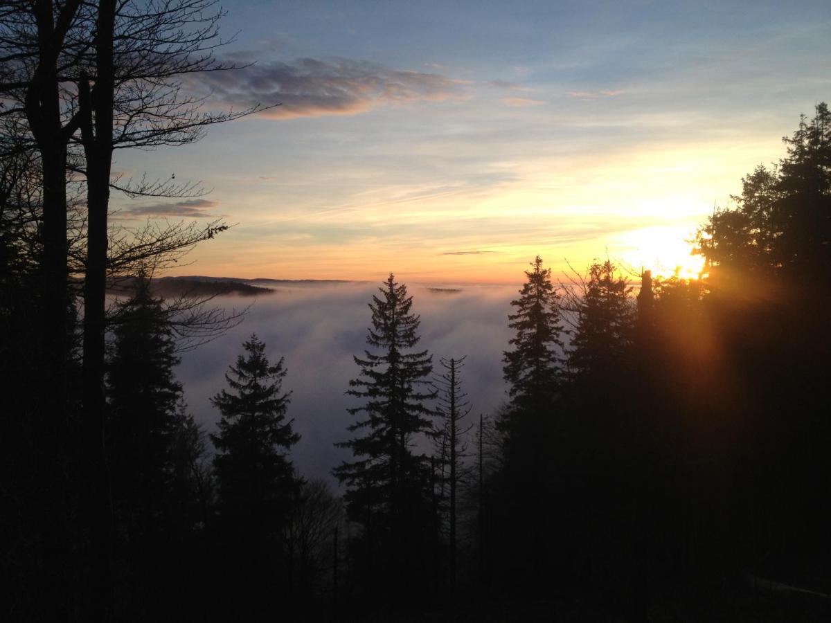 Les Gites De La Serva - Champ Du Feu - Montagnes- Vosges Belmont  Zewnętrze zdjęcie